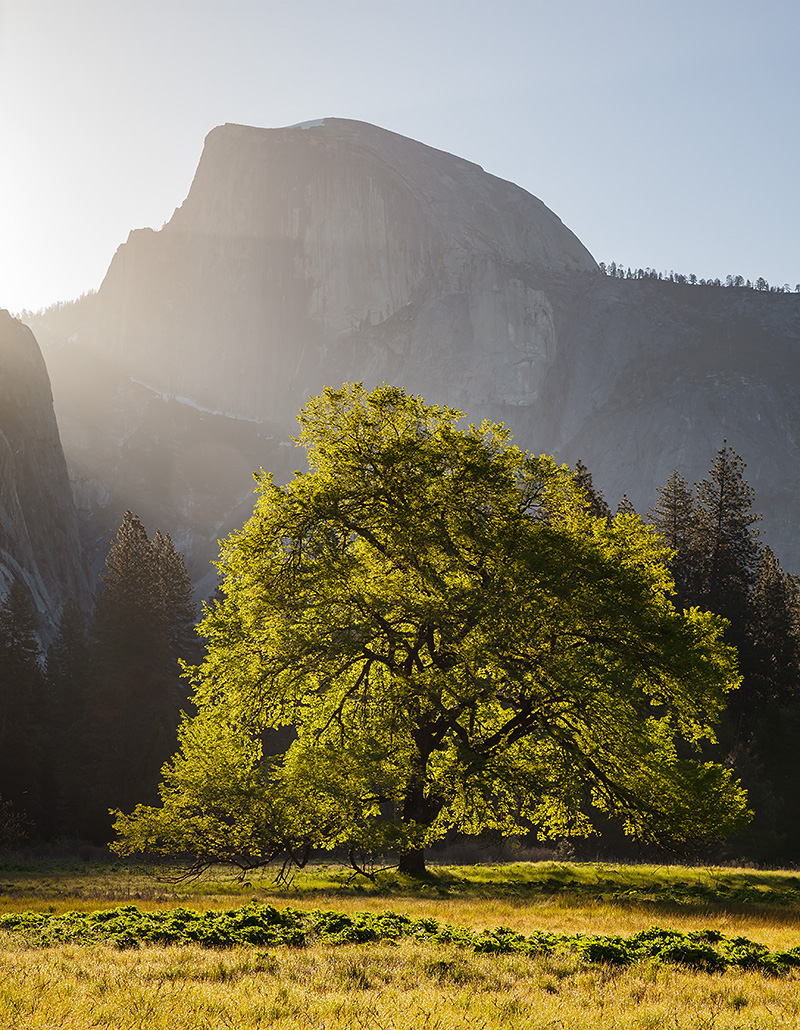 Yosemite-Half-Dome